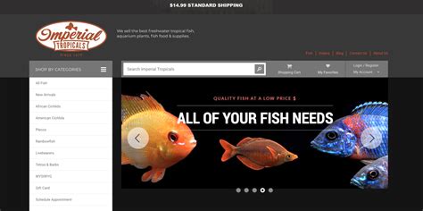 where to buy live fish|Pet Fish .